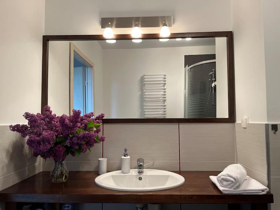 Apartament Hemingwaya Jelenia Gora Bagian luar foto