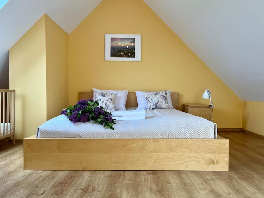 Apartament Hemingwaya Jelenia Gora Bagian luar foto