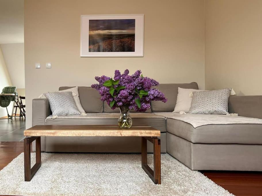 Apartament Hemingwaya Jelenia Gora Bagian luar foto