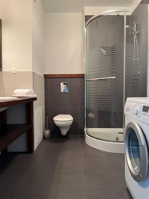 Apartament Hemingwaya Jelenia Gora Bagian luar foto